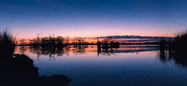 Panoramic orange and blue twilight sky reflected in a calm bayou lined with cypress off Tidewater Road in Venice, Louisiana