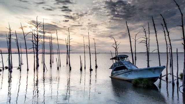 Abandoned boat among dead cypress trunks in a flooded ghost forest under dramatic clouds, Plaquemines Parish